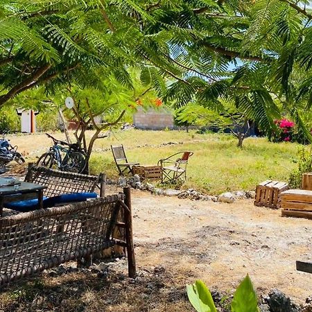 Habibis Bottle House Bed & Breakfast นูงวี ภายนอก รูปภาพ