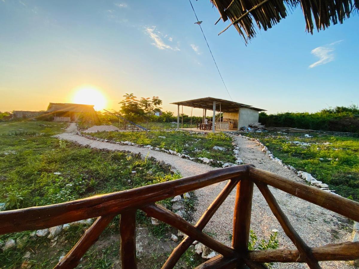 Habibis Bottle House Bed & Breakfast นูงวี ภายนอก รูปภาพ